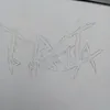 triphori4