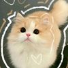 saffa.aulia0