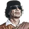 muhammad.mnfi