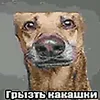 userwyv5xwasxn