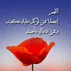 tzgnf