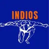 academia.indios