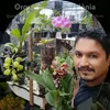 ORQUÍDEAS DE RONDÔNIA