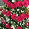 myintmyint9534