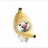 _hongtu1704_