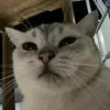gaidepnhamaymom