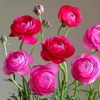 user2342002013426