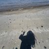 user5320871407458