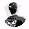 aing_emod1972