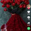 user9561410171472
