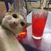 nqkhanh_
