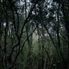 __08a_a