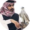 user5832800067416