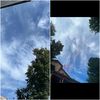 nabokova_123