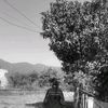 swastika__37
