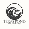 teraspond.id