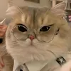 lluummiinnoouuss