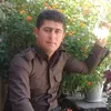 rebenrebwar82