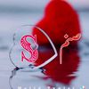 sanamjan7124