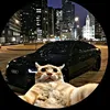 audiforlofe