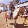 carlosclemente841