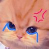 user2767618008134