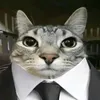 sbfoxnine