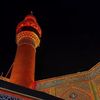 rana_391325