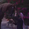 fadhel.alattar