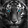 danyatiger1