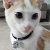 ebeyajah