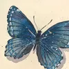 حانـيَه 🦋