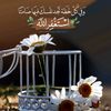 user7102610663966