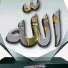 muhammadqamar5306