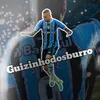 guizinhodosburro