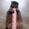 xbaguette
