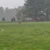 michael_15520