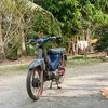 trinhnguyn275