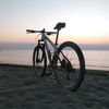 hayami_0.3
