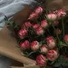 tymay.hn196
