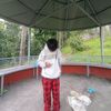 uniquedongtamang