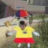 clipper_chimp