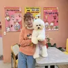 duyenpoodle95
