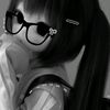 sasa_zply