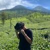 m_veri_khafidzin