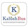 Kalushbus