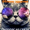norgin6