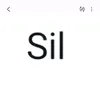 silmara.veriato