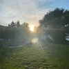 whose_that_deva