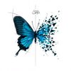 🦋𝐆𝐓𝐗🦋